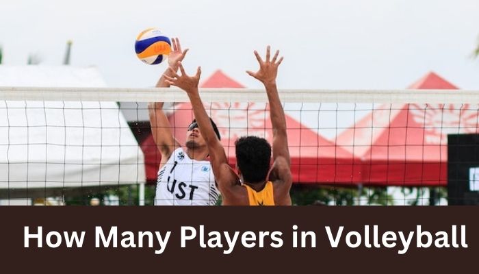 How Many Players in Volleyball